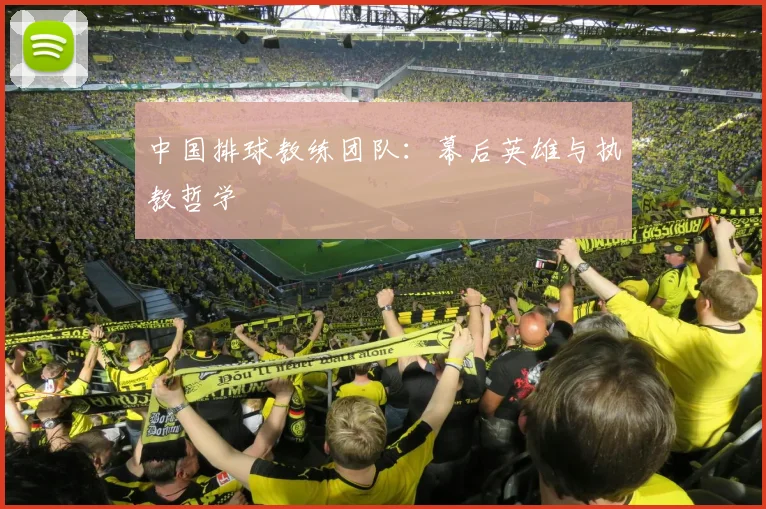 中国排球教练团队:幕后英雄与执教哲学